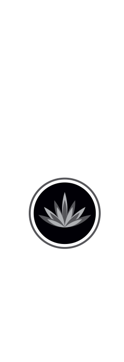 destilería de maría